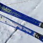 2021 살로몬의 대회전 스키 - 2021 SALOMON GS Skis