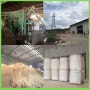 [World Export] 베트남에서 생산되는 고품질 목분(Wood Powder)