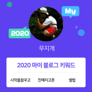 [2020 마이블로그 리포트] 한 눈에 보는 올해 내 블로그 데이터!