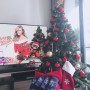 [싱가폴일상] 크리스마스 2020 🎄 — 아기 고양이들🐈 , 스트로베리 산타 그리고 칠면조