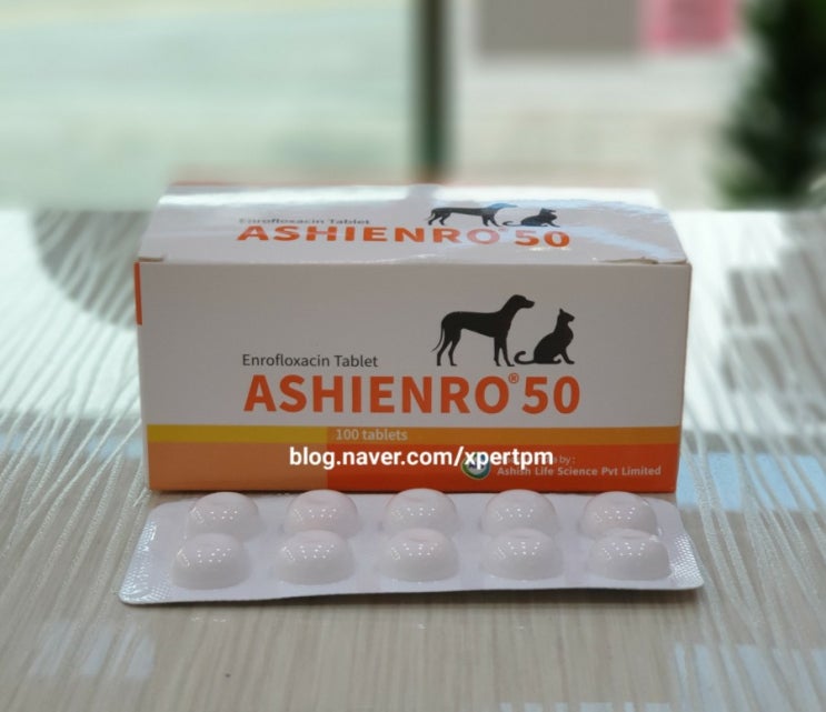 아시엔로®정 50 ASHIENRO®50 개,고양이 항생제 동물약국 청주동물약국 늘봄동물약국 : 네이버 블로그