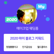 [2020 마이블로그 리포트] 한 눈에 보는 올해 내 블로그 데이터!