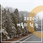 2020년 겨울의 첫 눈을 맞이한 오포읍 능평리 공원묘지 시안