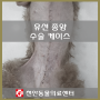 유선 종양 수술 케이스 : 천안 동물병원