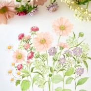 [꽃그림 4주 클래스] 소국과 들꽃.색연필일러스트 빈티지걸 서여진