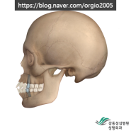 미니양악_ 정말 간단한 양악수술 ?