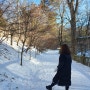[강원도 평창 진부면] 겨울 필수 드라마 도깨비 촬영지 찬란하고 아름다운 전나무숲, 월정사