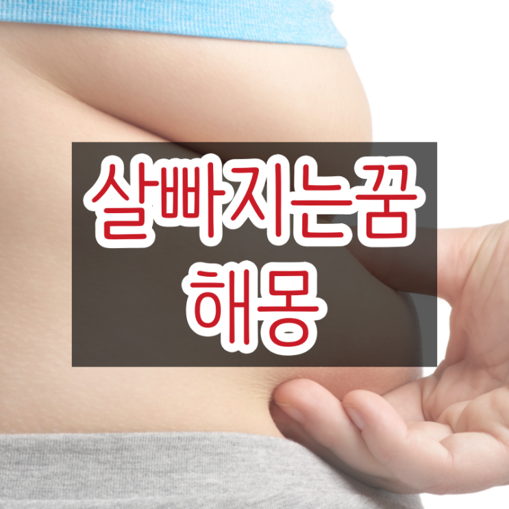 살빠지는꿈 살찌는꿈 해몽 알아보기 : 네이버 블로그