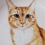 노란색 고양이 그릇, 반려동물 밥그릇, 주문제작 초상화 얼굴 접시.