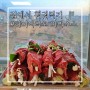 집에서 마라훠궈(중국식 샤브샤브) 만들어 먹기 (#하이디라오 마라소스) feat. 훠궈소스, 피시소스 만들기
