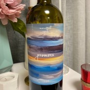 프로메사 promesa 2019 /만원대 가성비 좋은 와인