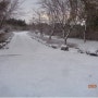 눈오는날 소모농장