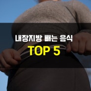 내장지방 빼는 음식 TOP5 알아보기!