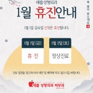 애플성형외과 1월 휴진안내