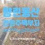 용인 전원주택 부지/ 기흥 동백 향린동산 단지 내 전원주택지 매매 높지 않은 평지 주택지