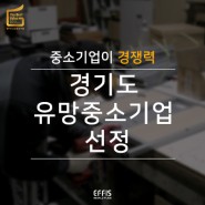[Effis] "경기도" 유망 중소기업 선정!