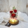 프리저브드 플라워 여자친구 꽃선물 led 프리저브드 유리돔 만들기