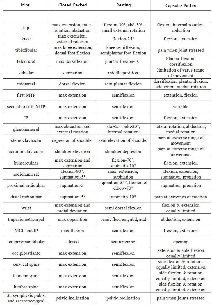 types-classification-of-body-joints-cartilaginous-synovial-joint