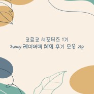 코르코 서포터즈 1기 레이어백 후기 모음 zip.