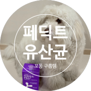 [강아지유산균/꼬똥구름템] 강아지유산균추천, 페딕트 유산균이에요.