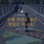 [국내여행] 당일치기 영월여행, 고씨굴 앞 남한강뷰 최고!