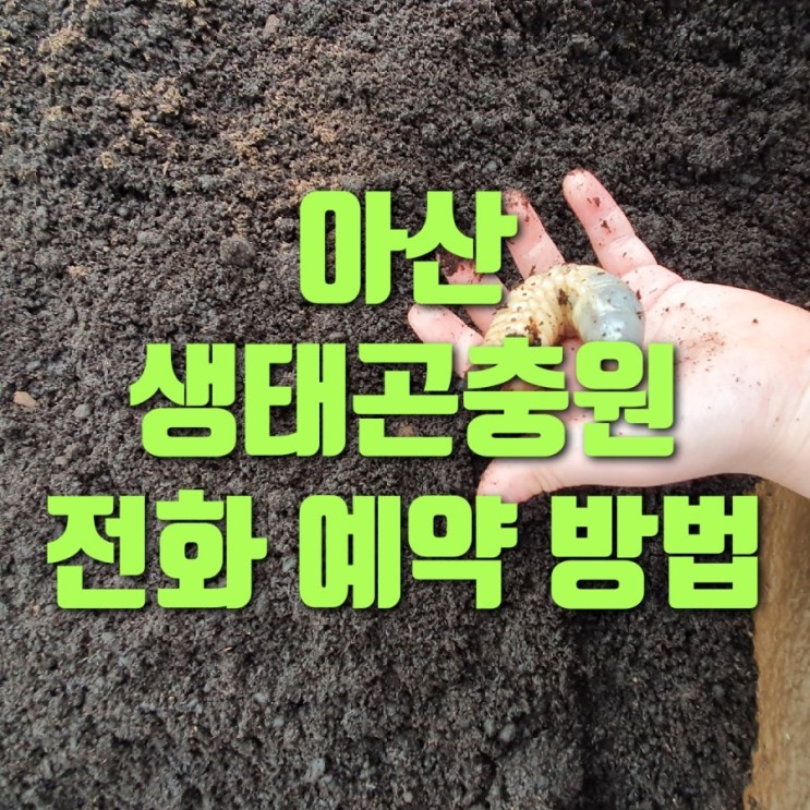 아산 생태곤충원 예약 방법~(장영실 과학관 바로 옆!!) : 네이버 블로그