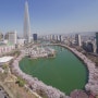 서울 벚꽃 명소 석촌호수 4월 11일까지 전면 폐쇄