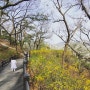 아이랑 가 볼 만한 곳 : 배봉산근린공원