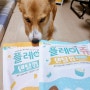 강아지간식, 굽네듀먼 플레이츄 덴탈껌 치즈&요구르트 강아지치석관리에 좋은 덴탈껌!