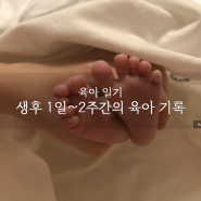 [육아 일기] 생후 1일~20일 육아기록(신생아 분유량, 조리원생활)