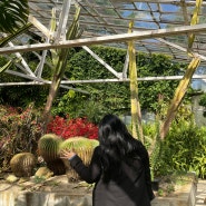 4월 5일의 일기:식목일 맞이 금강 식물원(부산) 첫 방문기!