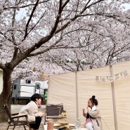 벚꽃캠핑장에서 감성캠핑즐기기 , 칠포 그린로즈