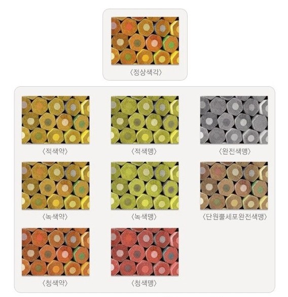 대전 세종 청주 색약렌즈 전문점 대전 색약렌즈 테스트 및 가격문의 대전 크로마젠 코닐렌즈 취급점 온통대전 가맹점 이안경원 둔산점 ...