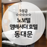 [동대문] 노보텔 앰배서더 동대문 투숙 후기 호캉스 room위주