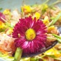 꽃차비빔밥 만들기,꽃차요리