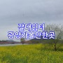 전남 광양 유채꽃, 경남 하동 섬진강 건너