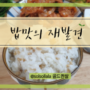 골든퀸쌀이라 쓰고 3호라 부른다 밥맛의 재발견