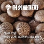 [이벤트 소식] 머쉬룸파파_표고버섯 첫수확 기쁨이벤트! 표고버섯 요리당 드림 이벤트~