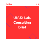 UI/UX Lab. Consulting brief