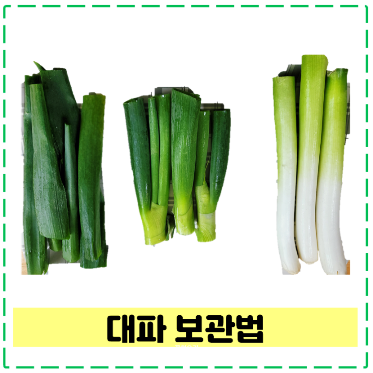 대파 보관법 쉽고 간단하고 오래 가는 방법 : 네이버 블로그