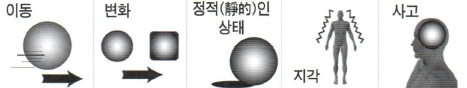 22. 변화동사 extend, expand, spread : 네이버 블로그