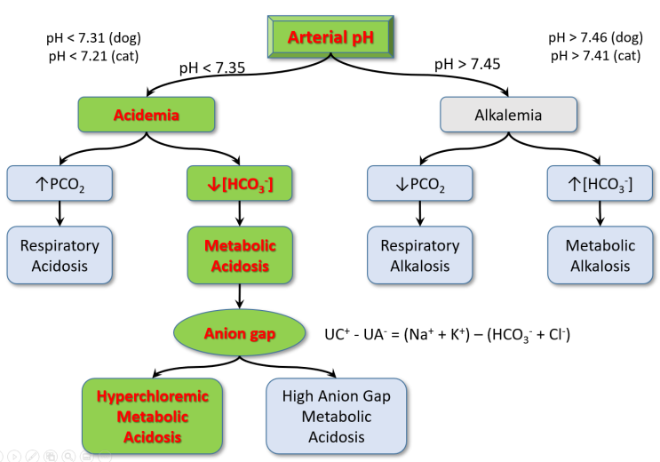 [산염기 장애 4] hyperchloremic metabolic acidosis. 고염소대사성 산증. : 네이버 블로그