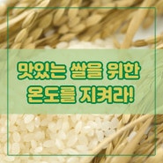맛있는 쌀을 위한 온도를 지켜라!