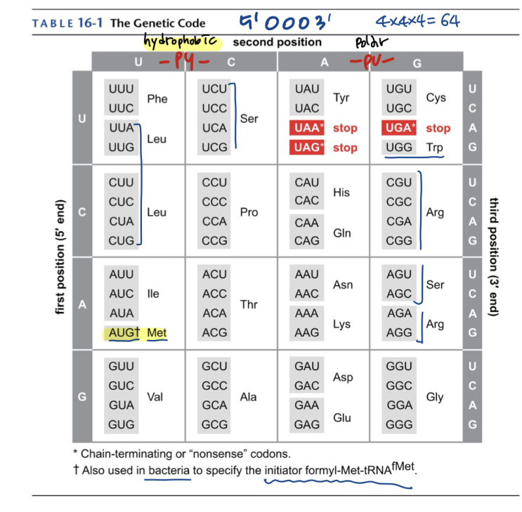 분자생물학 Ch16. The Genetic Code : 네이버 블로그