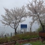 남양주 다산생태공원: 비오는 날의 봄구경