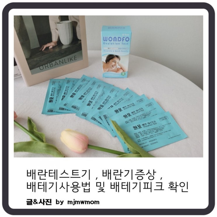배란테스트기 배란기증상과 배테기사용법,배테기피크 그리고 임신확인 : 네이버 블로그
