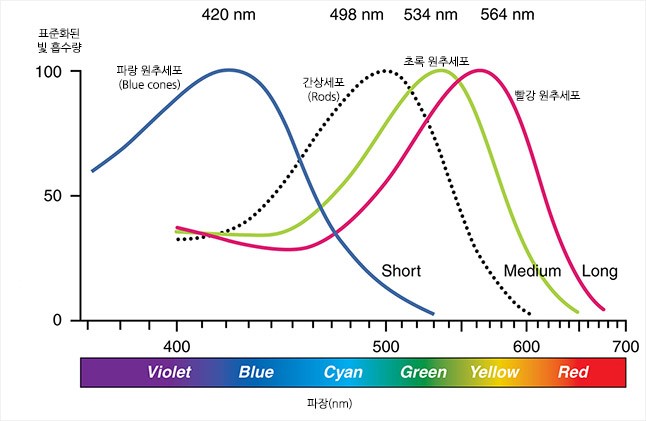 빨간색, 보라색, 초록색, 형광색을 소화하는 것이 어려운 이유 / 자연계에는 왜 파란색이 드물고 쿨컬러는 왜 찾기 힘든가 ...