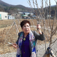 나라꽃 무궁화동산 전지·전정 및 거름주기 자원봉사
