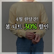남자 봄 니트 이렇게 저렴하다고? feat. 노란색,보라색,파란색,민트색