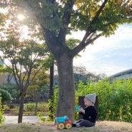 10월의 일상_대전오월드,엑스포시민광장,남문광장,논산시민공원,은구비공원,할로윈데이
